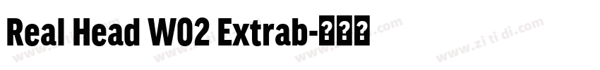 Real Head W02 Extrab字体转换